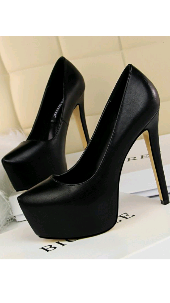POINTED TOE PLATFORM HIGH HEEL SHOES